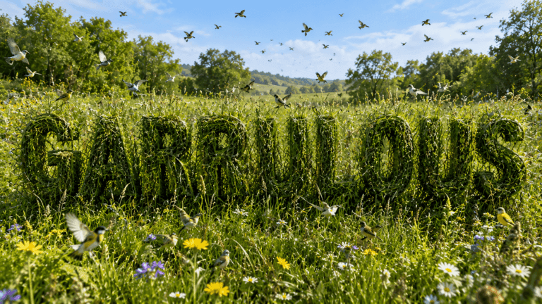 Garrulous