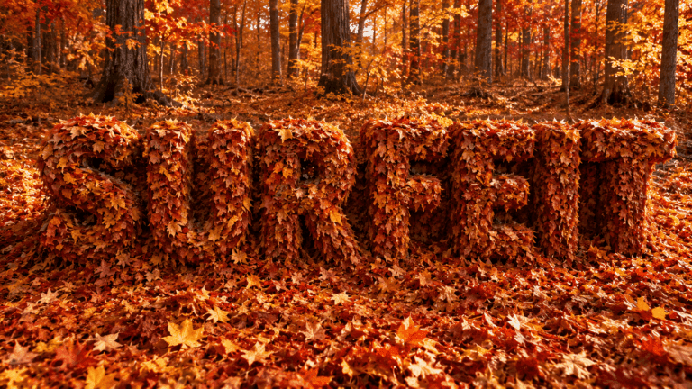 Surfeit