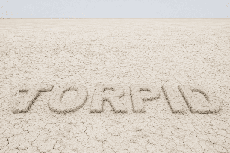 Torpid