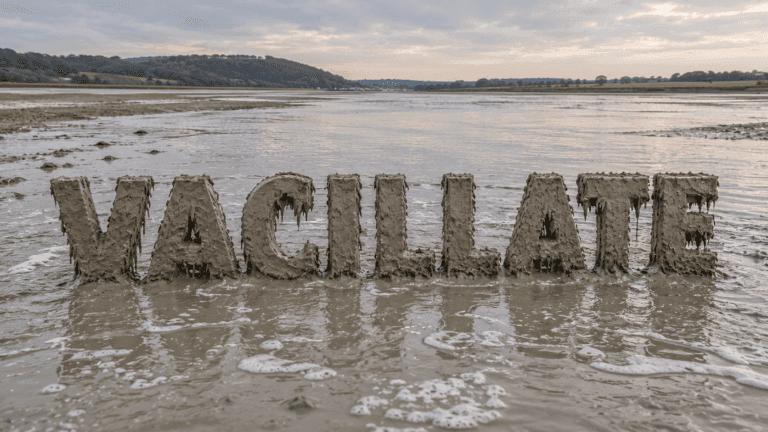 Vacillate