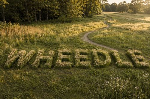 Wheedle